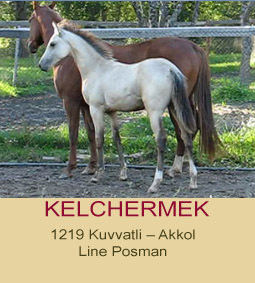 kelchermek