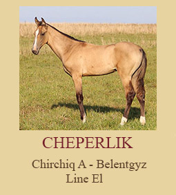Cheperlik