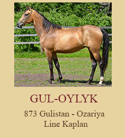 Gul-Oylyk