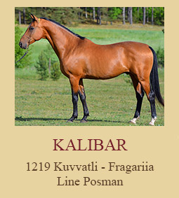 Kalibar