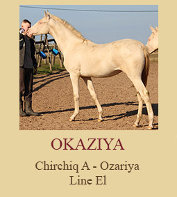 Okaziya