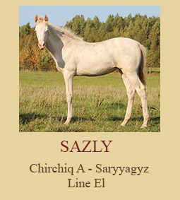 Sazly